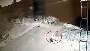 Aç kalan Kurt koyun sürüsüne saldırdı