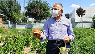Büyükşehir, tarım ve hayvancılığa önem verecek