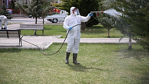 Melikgazi'de lavra döneminde haşeratla mücadele başladı