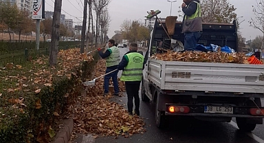 Büyükşehir, topladığı gazelleri gübreye dönüştürüyor