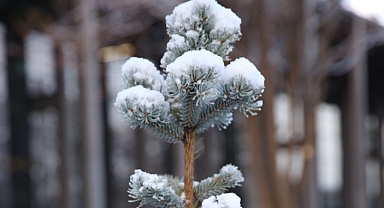 Abdullah Gül Üniversitesi kampüsü beyaza büründü!