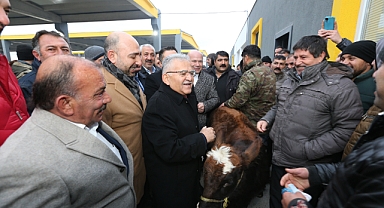 Canlı Hayvan Borsası'nda Son Durum Ne?