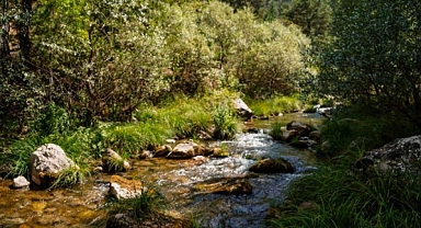Anadolu'nun Gizli Cenneti: Kıpız Vadisi'nin Doğal Büyüsü