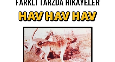 Serdar Özmilli'den Yeni Kitap: Farklı Tarzda Hikâyeler
