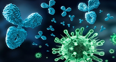 En Çok Başvurulan Testler Nelerdir?