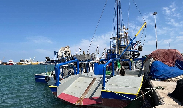 Deniz kirliliği balığı vurdu