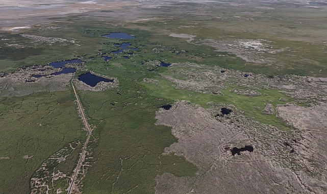 Sultan Sazlığı kuş değil tilki cenneti oldu