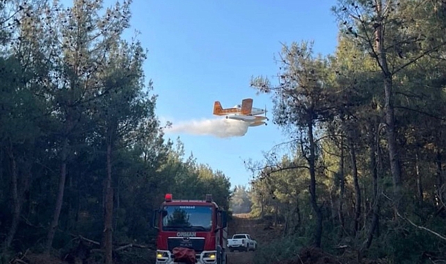 Yangınlar Nerede Başlıyor?