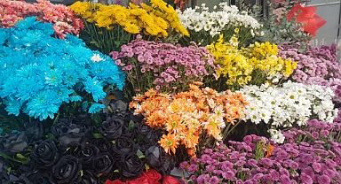 Çiçekleriniz solmasın istiyorsanız bu uyarıları dikkate alın