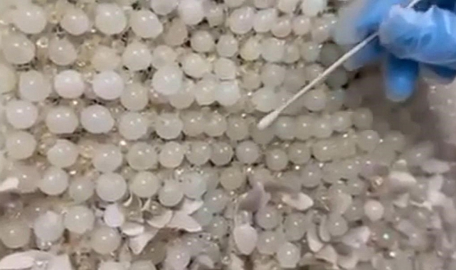 Gelinliğin üzerine boncuk şeklinde işlenmiş 25 kilo uyuşturucu ele geçirildi