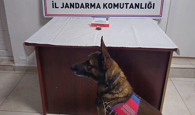 Kayseri'de uyuşturucu operasyonu