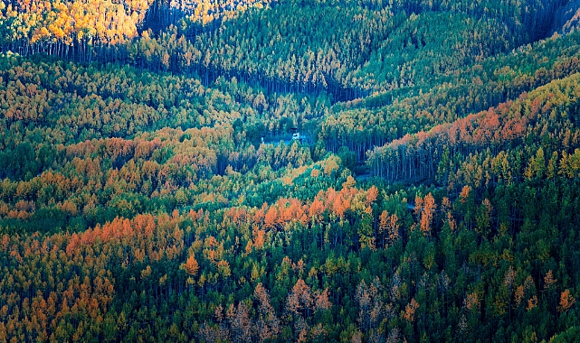 Kayseri'deki saklı hazine!