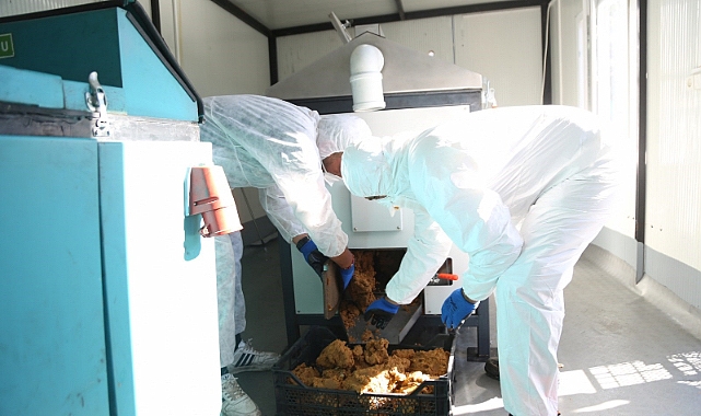 Yemek atıkları mamaya dönüşüyor!