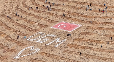 35 bin fidan dikildi!