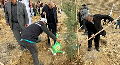 Ali Dağı’nın zirvesine 1111 fidan