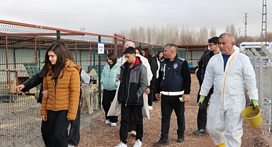 Sokak hayvanları için anlamlı etkinlik