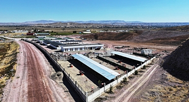 Türkiye’de ilk olan 'Küçük Dostlar Ambulansı' ile 10 bin 280 can kurtarıldı