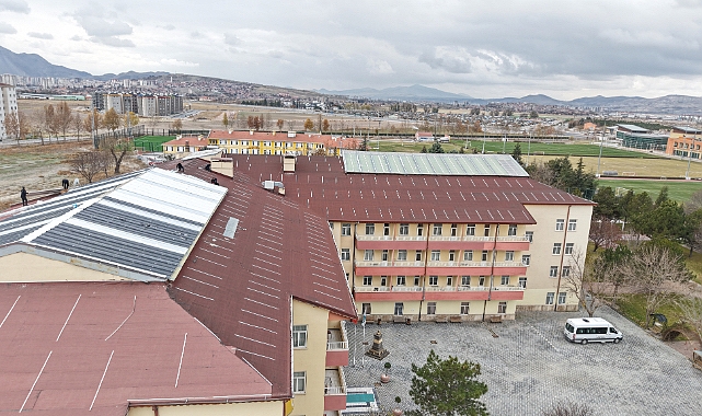 Ulu çınarların yuvası yenileniyor