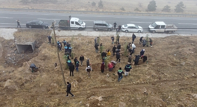 Yahyalı'ya bin 200 fidan dikildi