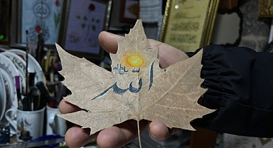 Kaligrafi sanatını kurumuş yapraklara işliyor
