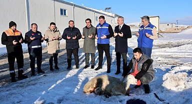 ‘Kar zahmet değil rahmet' dediler, koyun kestiler