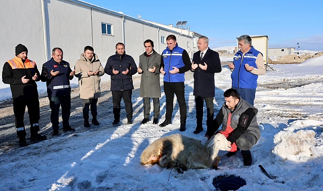 ‘Kar zahmet değil rahmet' dediler, koyun kestiler