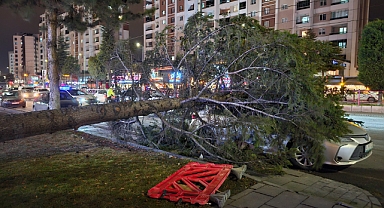 Kayseri'de kuvvetli rüzgar: Ağaç otomobilin üzerine devrildi