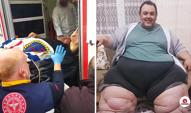 Fil hastası Engin, tedavi için Ankara'ya götürüldü 