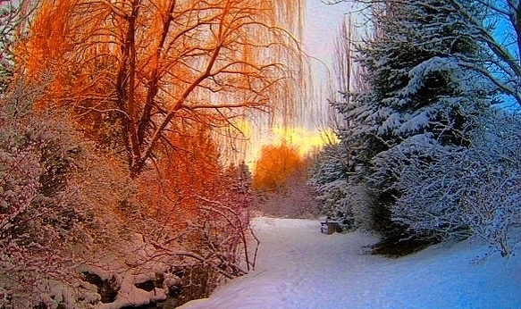 Kayseri’de sağanak ve kuvvetli rüzgar uyarısı