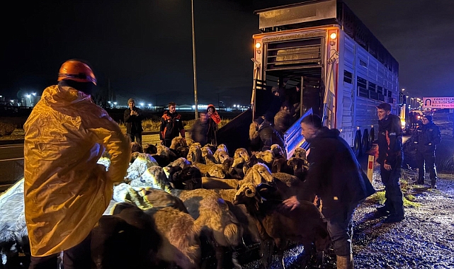 Kayseri’de taşkın riski: 200 hayvan tahliye edildi
