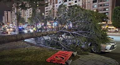 Meteoroloji'den 'kuvvetli rüzgar' ve 'fırtına' uyarısı