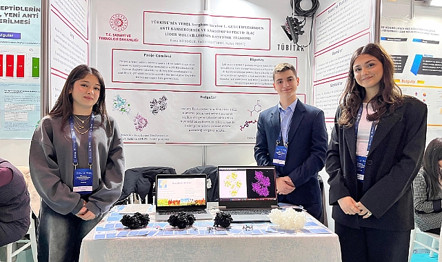  Sorgum bitkisinden kansere yönelik ilaç tasarımı