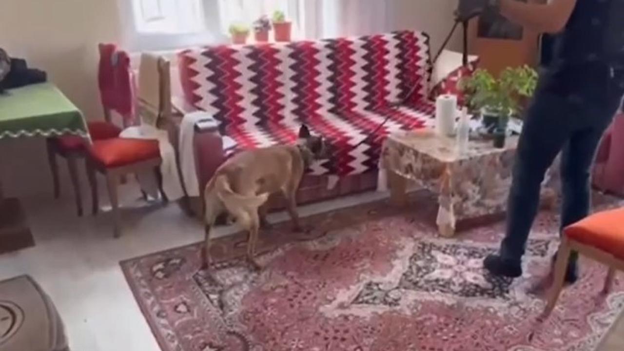 Kayseri'de silah tacirlerine operasyon!