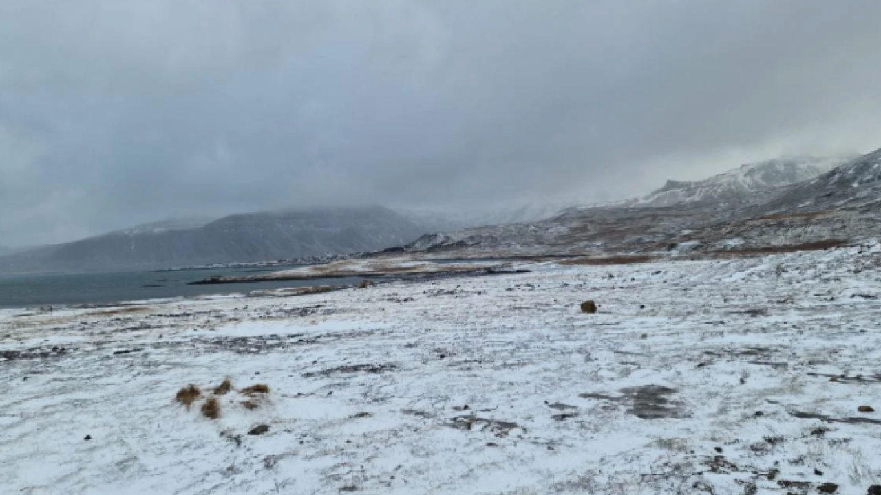 Kayseri’ye ‘zirai don’ uyarısı