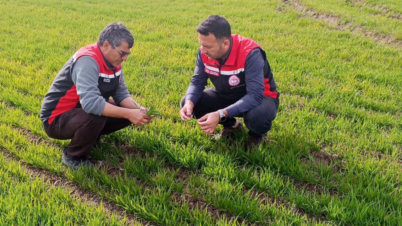 Tomarza'da kontroller devam ediyor!