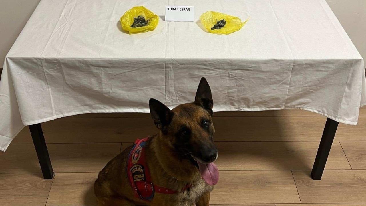 Yol kontrolünde uyuşturucu yakalandı